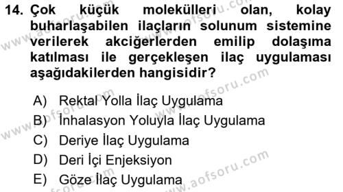 Yaşlı Bakımı İlke Ve Uygulamaları Dersi 2023 - 2024 Yılı (Final) Dönem Sonu Sınavı 14. Soru