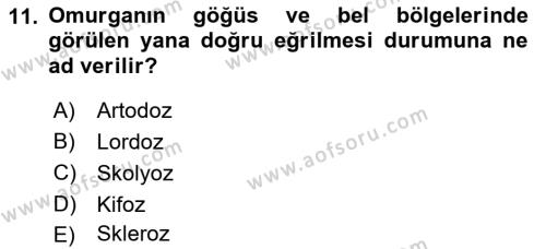 Evde Yaşlı Bakım Hizmetleri Dersi 2018 - 2019 Yılı 3 Ders Sınavı 11. Soru