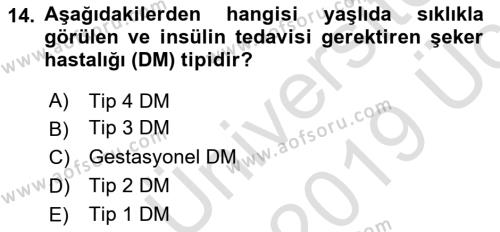 Evde Yaşlı Bakım Hizmetleri Dersi 2018 - 2019 Yılı 3 Ders Sınavı 14. Soru