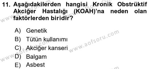 Evde Yaşlı Bakım Hizmetleri Dersi 2018 - 2019 Yılı (Vize) Ara Sınavı 11. Soru