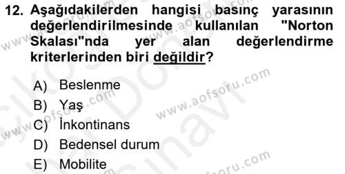 Evde Yaşlı Bakım Hizmetleri Dersi 2018 - 2019 Yılı (Final) Dönem Sonu Sınavı 12. Soru