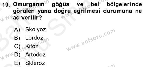 Evde Yaşlı Bakım Hizmetleri Dersi 2018 - 2019 Yılı (Final) Dönem Sonu Sınavı 19. Soru