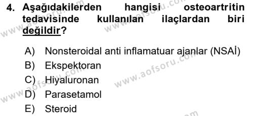 Evde Yaşlı Bakım Hizmetleri Dersi 2018 - 2019 Yılı (Final) Dönem Sonu Sınavı 4. Soru