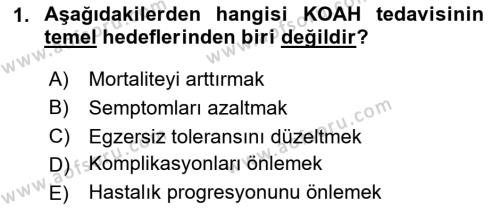 Evde Yaşlı Bakım Hizmetleri Dersi 2023 - 2024 Yılı (Vize) Ara Sınavı 1. Soru