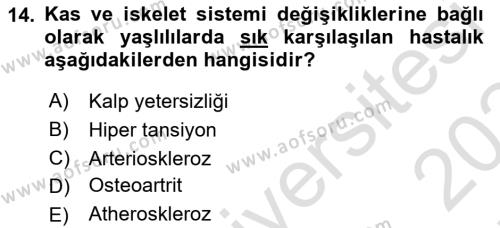 Evde Yaşlı Bakım Hizmetleri Dersi 2023 - 2024 Yılı (Final) Dönem Sonu Sınavı 14. Soru