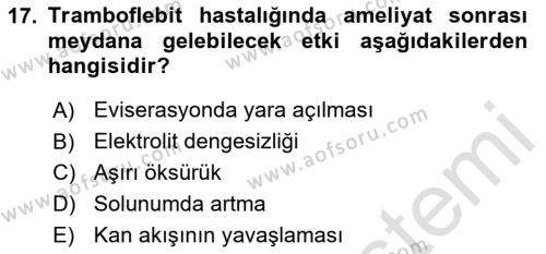 Evde Yaşlı Bakım Hizmetleri Dersi 2023 - 2024 Yılı (Final) Dönem Sonu Sınavı 17. Soru