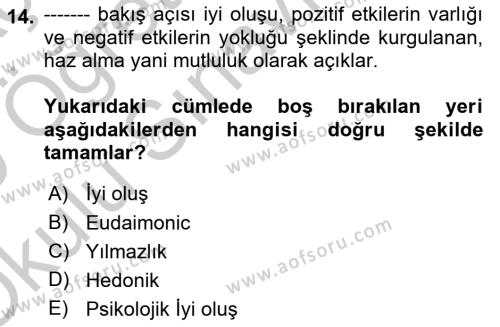 Yaşlılarda Çatışma Ve Stres Yönetimi 1 Dersi 2018 - 2019 Yılı Yaz Okulu Sınavı 14. Soru