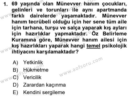 Yaşlılarda Çatışma Ve Stres Yönetimi 1 Dersi 2022 - 2023 Yılı Yaz Okulu Sınavı 1. Soru