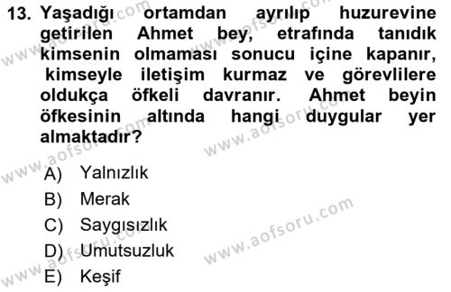 Yaşlılarda Çatışma Ve Stres Yönetimi 1 Dersi 2022 - 2023 Yılı Yaz Okulu Sınavı 13. Soru