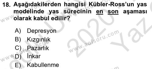 Yaşlılarda Davranış Sorunları Ve Uyum Dersi 2020 - 2021 Yılı Yaz Okulu Sınavı 18. Soru