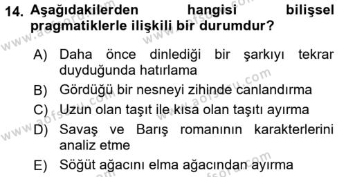 Yaşlılarda Davranış Sorunları Ve Uyum Dersi 2021 - 2022 Yılı (Vize) Ara Sınavı 14. Soru