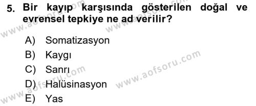 Yaşlılarda Davranış Sorunları Ve Uyum Dersi 2021 - 2022 Yılı Yaz Okulu Sınavı 5. Soru