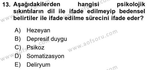 Yaşlılarda Davranış Sorunları Ve Uyum Dersi 2022 - 2023 Yılı (Final) Dönem Sonu Sınavı 13. Soru