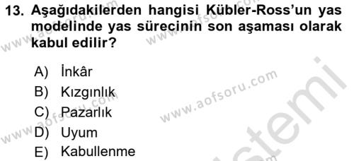 Yaşlılarda Davranış Sorunları Ve Uyum Dersi 2022 - 2023 Yılı Yaz Okulu Sınavı 13. Soru