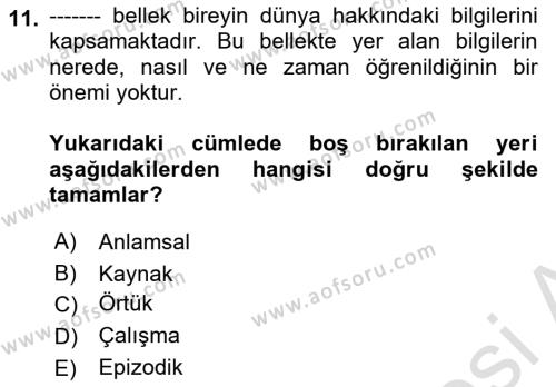 Yaşlılarda Davranış Sorunları Ve Uyum Dersi 2023 - 2024 Yılı (Vize) Ara Sınavı 11. Soru