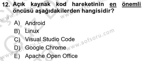 Bilişim Teknolojileri Dersi 2024 - 2025 Yılı (Vize) Ara Sınavı 12. Soru