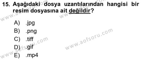 Bilişim Teknolojileri Dersi 2024 - 2025 Yılı (Vize) Ara Sınavı 15. Soru