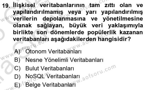 Bilişim Teknolojileri Dersi 2024 - 2025 Yılı (Vize) Ara Sınavı 19. Soru