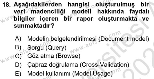 İşletme Analitiği Dersi 2021 - 2022 Yılı Yaz Okulu Sınavı 18. Soru