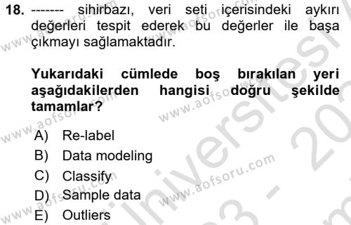 İşletme Analitiği Dersi 2023 - 2024 Yılı (Final) Dönem Sonu Sınavı 18. Soru