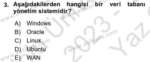 Bilişim Sistemleri Dersi 2023 - 2024 Yılı Yaz Okulu Sınavı 3. Soru