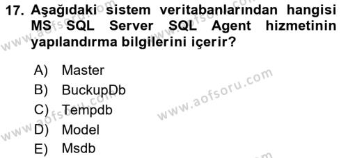 Veritabanı Programlama Dersi 2022 - 2023 Yılı Yaz Okulu Sınavı 17. Soru