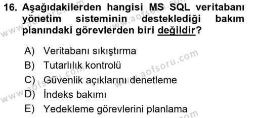 Veritabanı Programlama Dersi 2023 - 2024 Yılı (Final) Dönem Sonu Sınavı 16. Soru