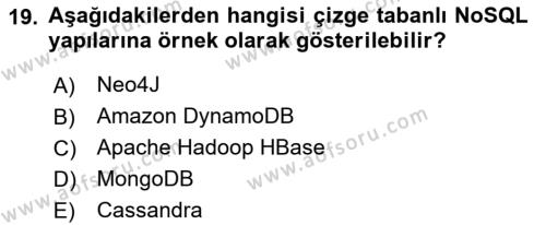 Veritabanı Programlama Dersi 2023 - 2024 Yılı Yaz Okulu Sınavı 19. Soru