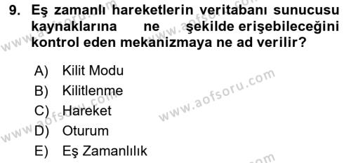 Veritabanı Programlama Dersi 2023 - 2024 Yılı Yaz Okulu Sınavı 9. Soru