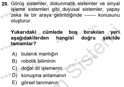 Karar Destek Sistemleri Dersi 2023 - 2024 Yılı (Final) Dönem Sonu Sınavı 20. Soru