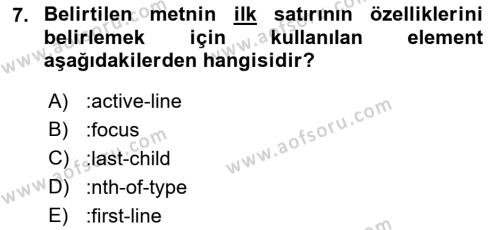 İnternet Ve Web Programlama Dersi 2022 - 2023 Yılı Yaz Okulu Sınavı 7. Soru