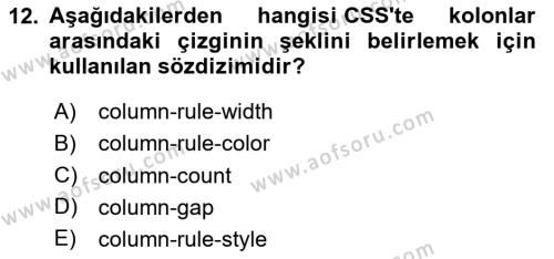 Programlamada Yeni Eğilimler Dersi 2023 - 2024 Yılı (Vize) Ara Sınavı 12. Soru