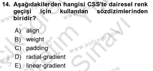 Programlamada Yeni Eğilimler Dersi 2023 - 2024 Yılı (Vize) Ara Sınavı 14. Soru